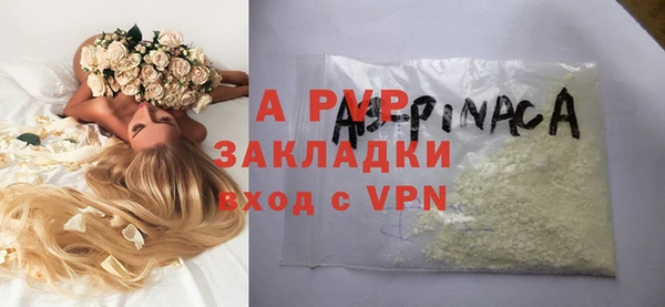 прущие грибы Елабуга