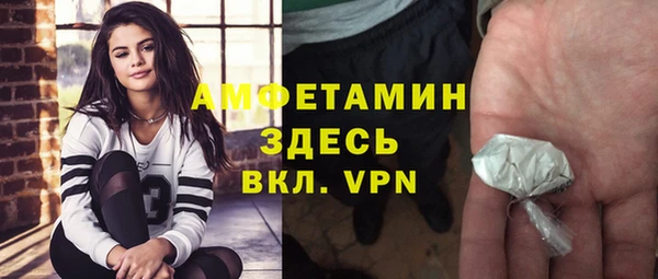прущие грибы Елабуга
