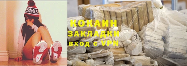 прущие грибы Елабуга