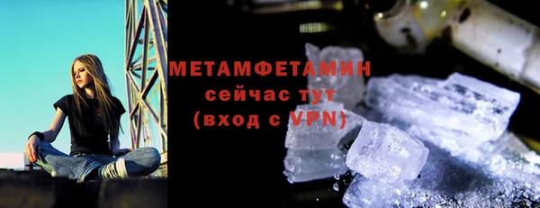 прущие грибы Елабуга