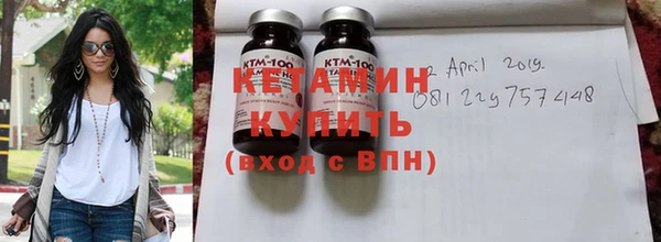прущие грибы Елабуга