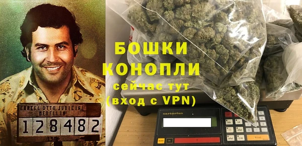 прущие грибы Елабуга