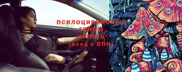 первитин Ельня
