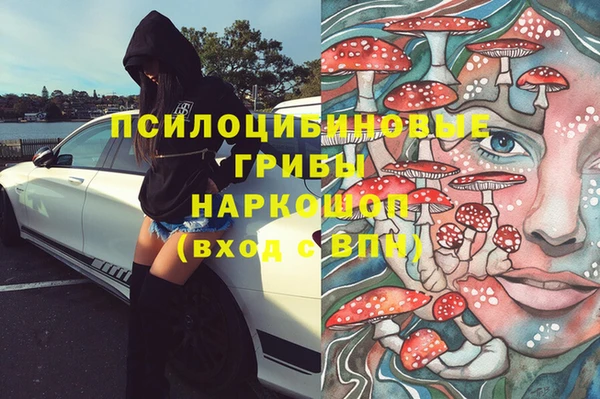прущие грибы Елабуга