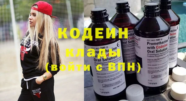 прущие грибы Елабуга