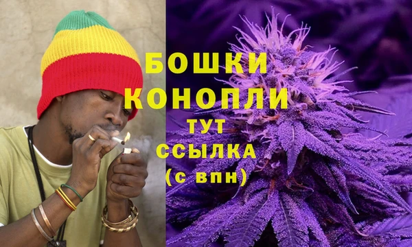 прущие грибы Елабуга
