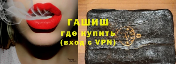 прущие грибы Елабуга