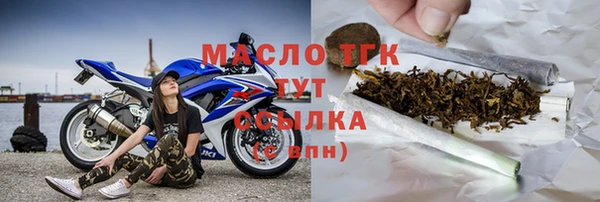прущие грибы Елабуга