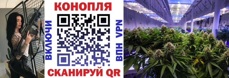 Канабис план Сургут